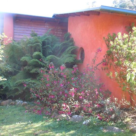 Whispering Spirit Holiday Cottages & Mini Ponies Franklin Exterior foto