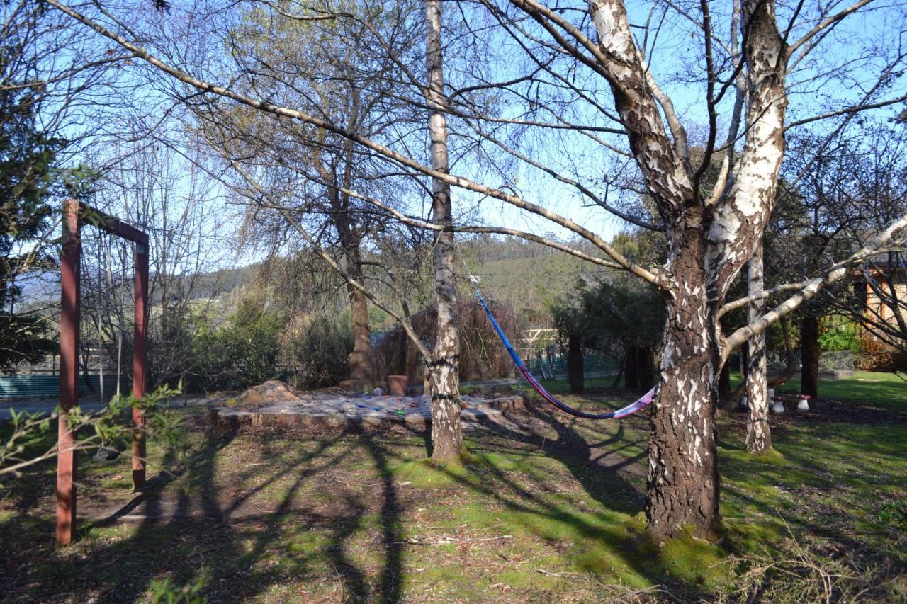 Whispering Spirit Holiday Cottages & Mini Ponies Franklin Exterior foto